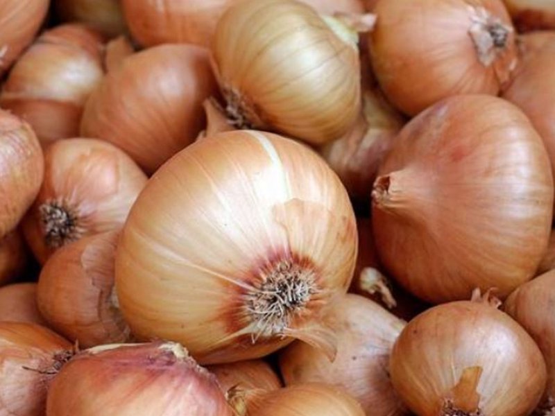 Восемь лучших продуктов для защиты от респираторных инфекций в этот период